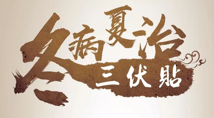 火了！“冬病夏治”三伏貼開始啦！??！
