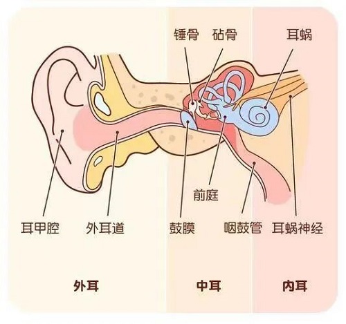 鼓膜穿孔不要怕！微創耳內鏡來修補！