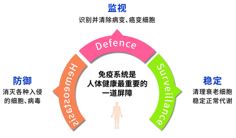 監視.png